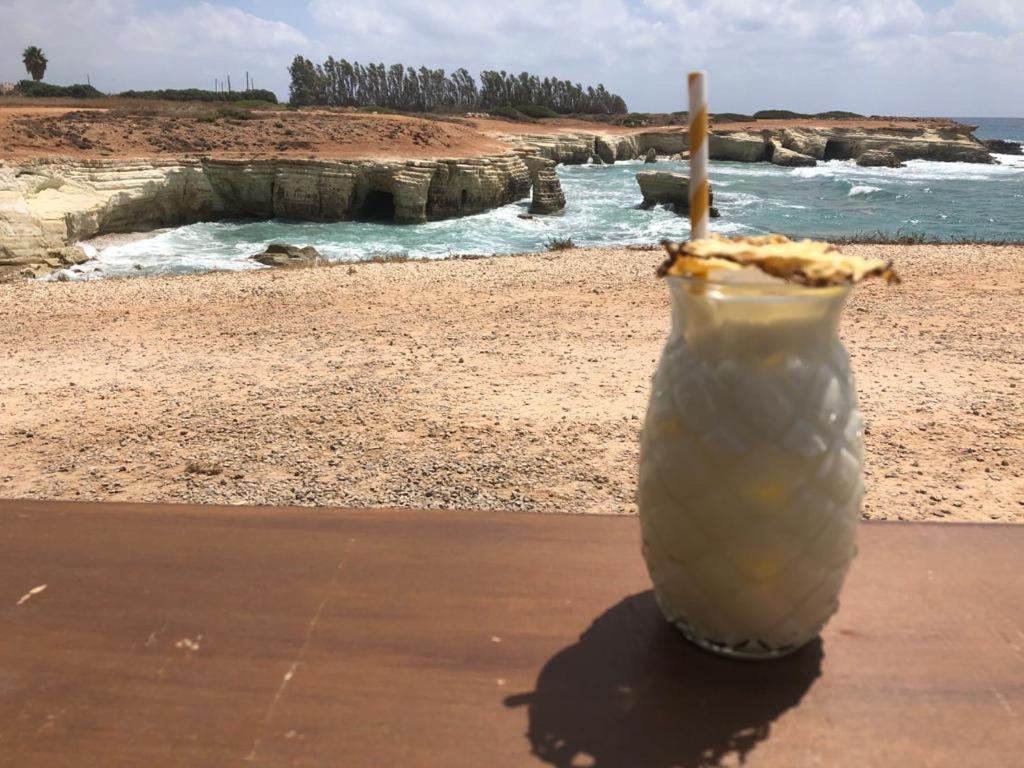 207 Kings Palace Seaview بافوس المظهر الخارجي الصورة